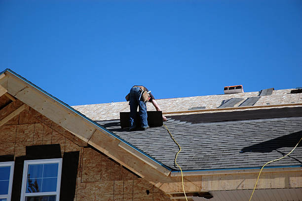 Best Storm Damage Roof Repair  in Charlotte, MI
