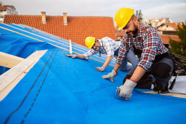 Best Commercial Roof Installation  in Charlotte, MI
