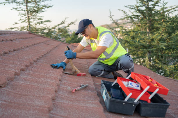 Best Flat Roof Repair Services  in Charlotte, MI
