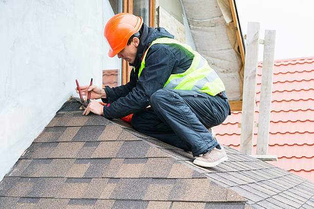 Best Roof Gutter Cleaning  in Charlotte, MI