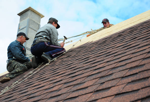 Best New Roof Installation  in Charlotte, MI